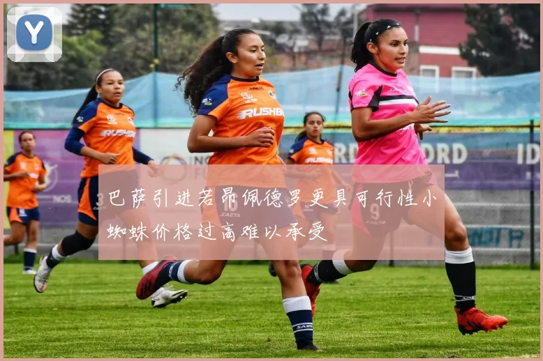 巴萨引进若昂佩德罗更具可行性小蜘蛛价格过高难以承受